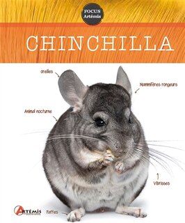 Front cover_Chinchilla