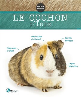 Front cover_Cochon d'Inde