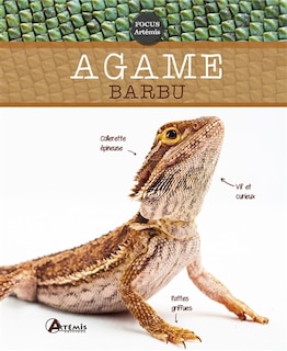 Front cover_Agame barbu