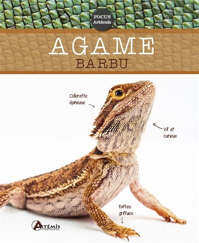 Front cover_Agame barbu