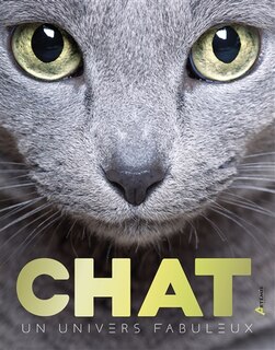 Couverture_Chats