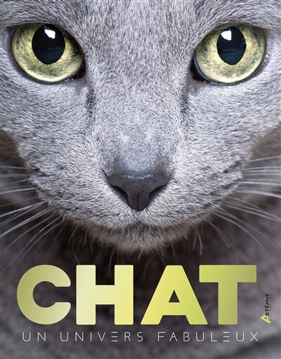 Couverture_Chats