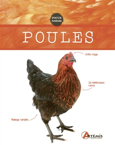 Couverture_Poules
