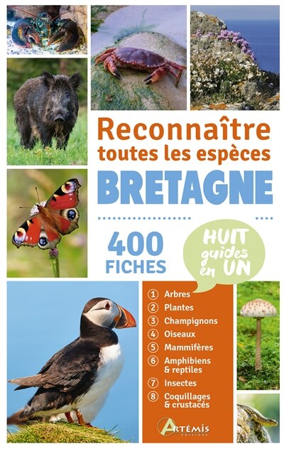 Couverture_Bretagne