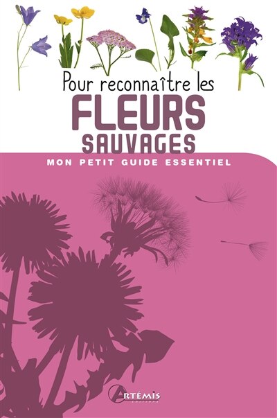 Couverture_Pour reconnaître les fleurs sauvages
