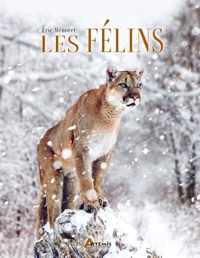 Front cover_Les félins