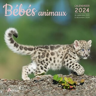 Front cover_B&eacute;b&eacute;s animaux