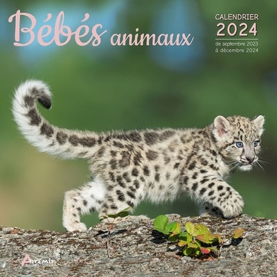 Front cover_B&eacute;b&eacute;s animaux