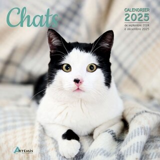 Front cover_Chats