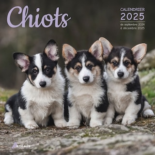 Couverture_Chiots : calendrier 2025 : de septembre 2024 à décembre 2025