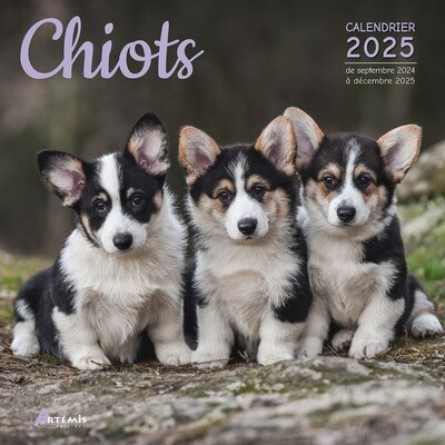Couverture_Chiots : calendrier 2025 : de septembre 2024 à décembre 2025