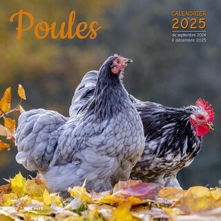 Couverture_Poules : calendrier 2025 : de septembre 2024 à décembre 2025
