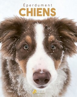 Couverture_Eperdument chiens