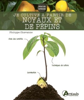 Couverture_Je cultive à partir de noyaux et de pépins