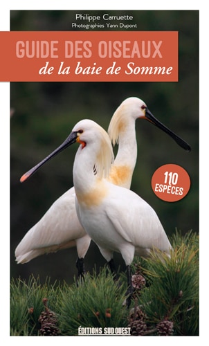 Couverture_Guide des oiseaux de la baie de Somme