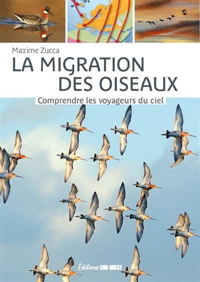 Couverture_La migration des oiseaux