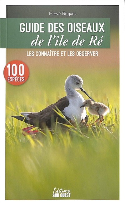 Couverture_Guide des oiseaux de l'île de Ré : les connaître et les observer : 100 espèces