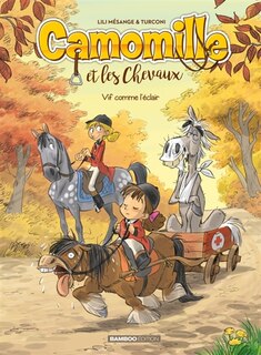 Front cover_Vif comme l'éclair