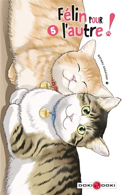 Front cover_Felin pour l'autre t05