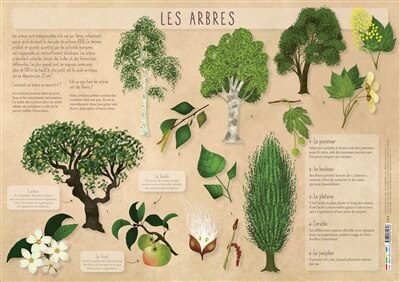 Front cover_Les arbres