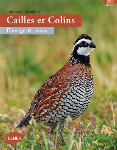 Cailles et colins