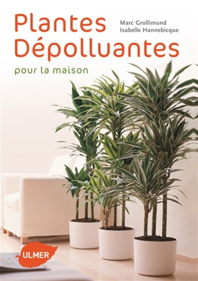 Couverture_Plantes d&eacute;polluantes pour la maison