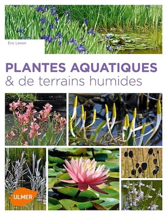 Plantes aquatiques