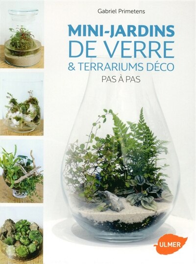 Front cover_Mini-jardins de verre & terrariums déco pas à pas