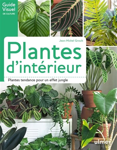 Couverture_Plantes d'intérieur : plantes tendance pour un effet jungle