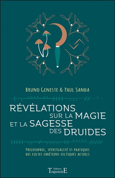 Front cover_Révélations sur la magie et la sagesse des druides : philosophie, spiritualité et pratiques des cultes chrétiens celtiques actuels