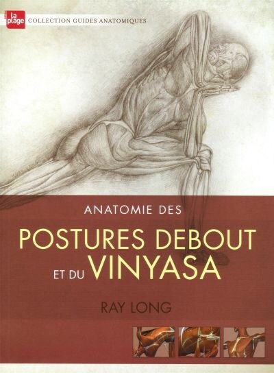 Anatomie des postures debout et du Vinyasa