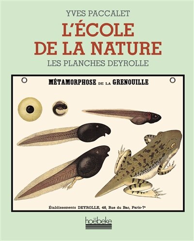 Front cover_L'école de la nature : les planches Deyrolle