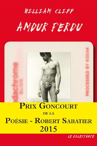 Front cover_Amour perdu