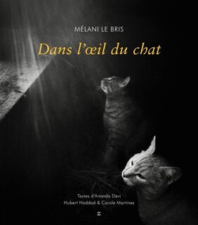 Couverture_Dans l'oeil du chat