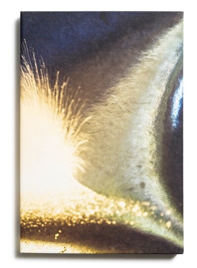 Front cover_Echoes of nature