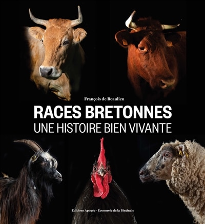 Couverture_Races bretonnes, une histoire bien vivante