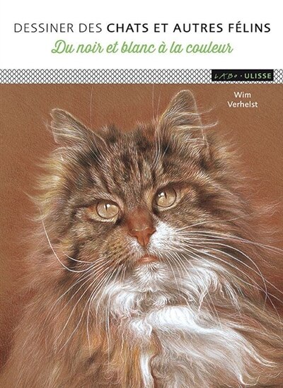 Dessiner Des Chats Et Autres Felins Du Noir Et Blanc A La Coul Book By Wim Verhelst Paperback Www Chapters Indigo Ca
