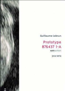 Prototype 876437 1-a