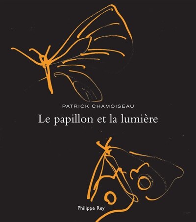 Couverture_Le papillon et la lumière