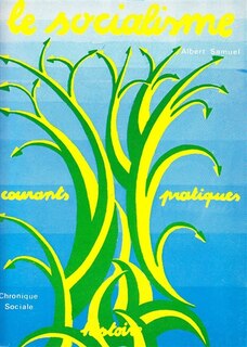 Front cover_Le Socialisme : Histoire, courants, pratiques