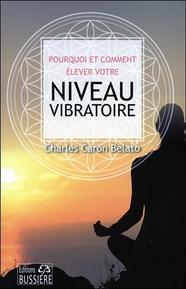 Couverture_Pourquoi et comment élever notre niveau vibratoire
