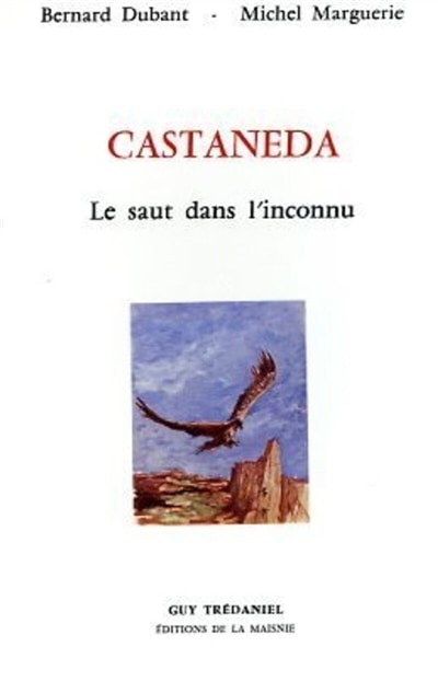 Front cover_Castaneda, le saut dans l'inconnu