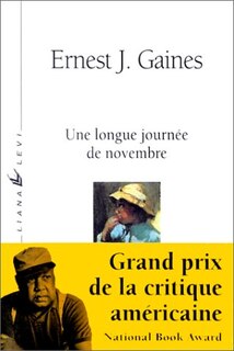 Couverture_Une longue journée de novembre ; Le ciel est gris