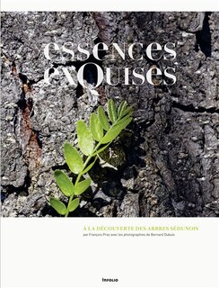 Essences exquises: à la découverte des arbres sédunois
