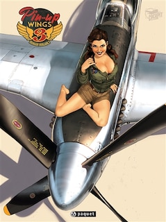 Front cover_Pin-up wings, Vol. 3