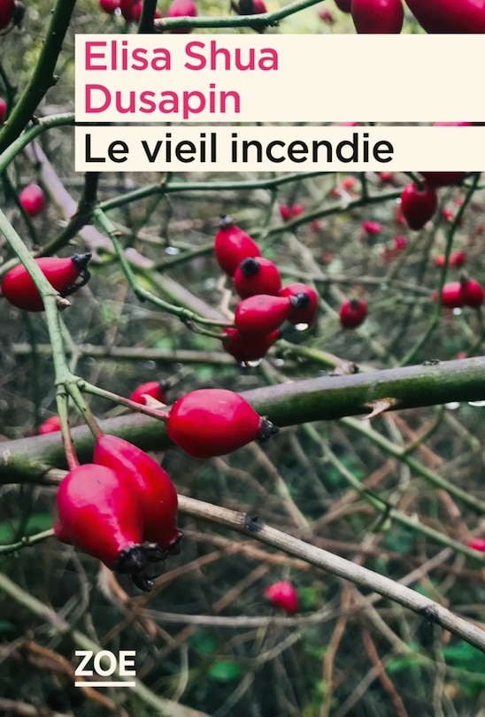 Front cover_Le vieil incendie