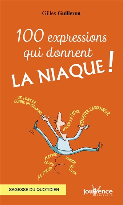 Couverture_100 expressions qui donnent la niaque ! : sagesse du quotidien