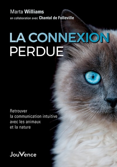 Front cover_La connexion perdue