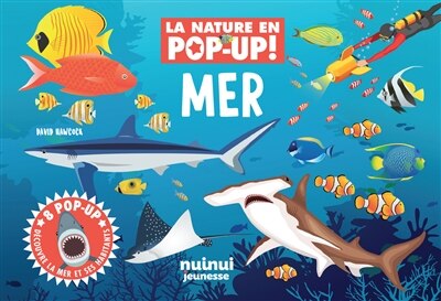 Mer: 8 pop-up