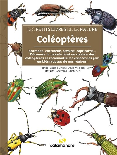 Front cover_Coléoptères